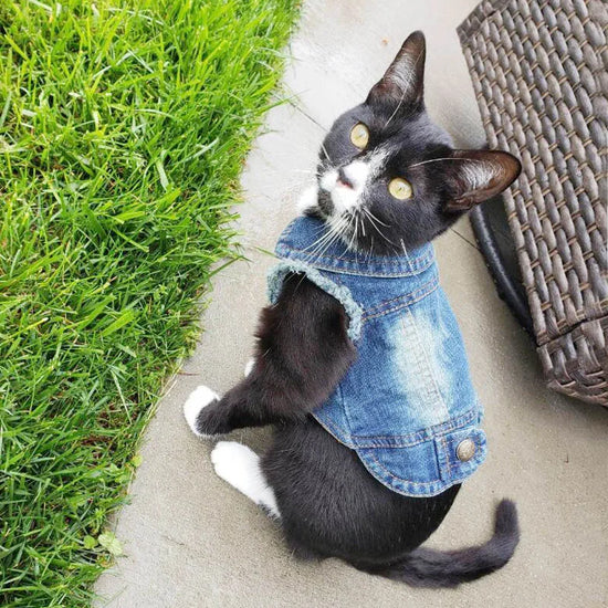 Casual Denim Vest Jacket for Kittens and Small Pets