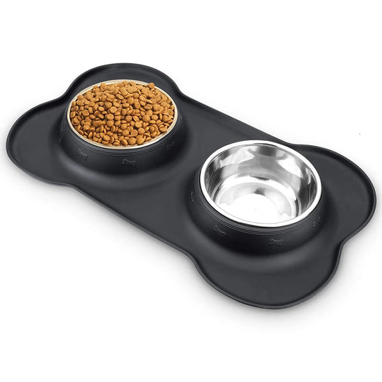 Anti-Slip Double Stainless Steel Pet Bowl with Silicone Mat