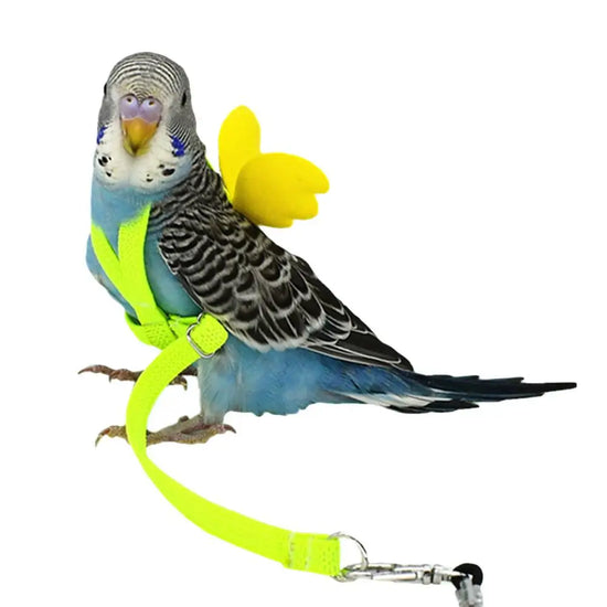 Adjustable Parrot Harness and Leash - Outdoor Training Rope for Small Birds
