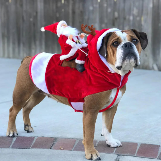 Funny Santa Christmas Costume for Dogs and Cats