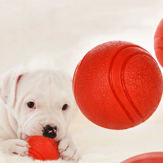 Bite-Resistant Rubber Dog Ball Toy - Solid Chew & Fetch Ball