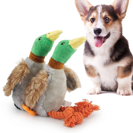 Cute Plush Duck Squeaky Chew Toy with Rope Detail