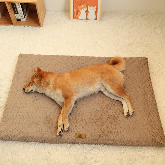 3D Foam Orthopedic Dog Bed with Washable Faux Fur Cover