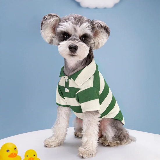 Casual Summer Polo Shirt for Dogs and Cats