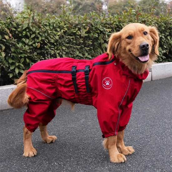 Reflective Waterproof Dog Rain Jacket for Autumn and Winter Walks