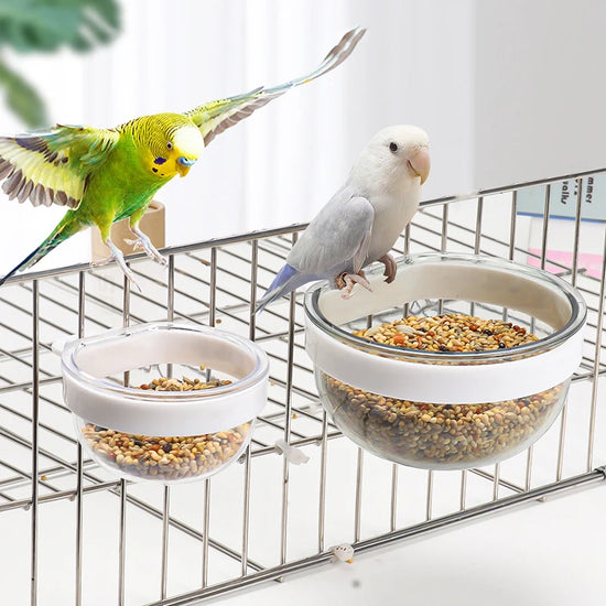 Detachable Transparent Bird Feeding Bowl - Hanging Seed and Water Cup