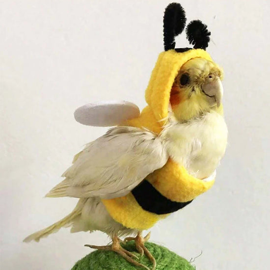 Bee Costume for Parrots - Soft Hoodie Outfit for Small Pet Birds
