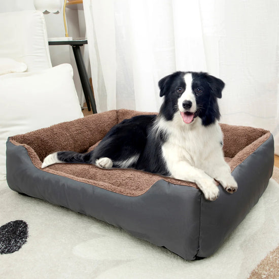Dog Sofa Blanket Bed Mat for Puppies, Small Dogs, and Large Pets