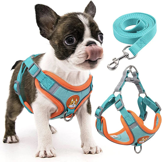 Step-In Reflective Dog Harness and Leash Set for Puppies
