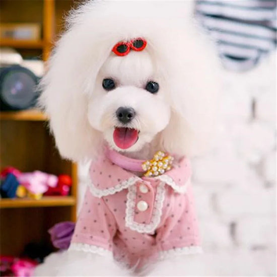 Heart Sunglasses Pet Hair Clip - Cute Bow Accessory for Dogs and Cats