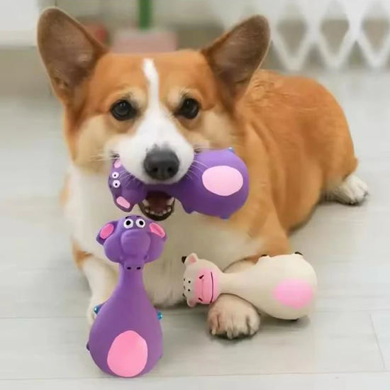 Squeaky Animal Chew Toy for Interactive Dog Play
