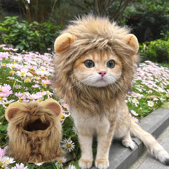 Cute Lion Head Pet Hat for Cats, Kittens and Puppies