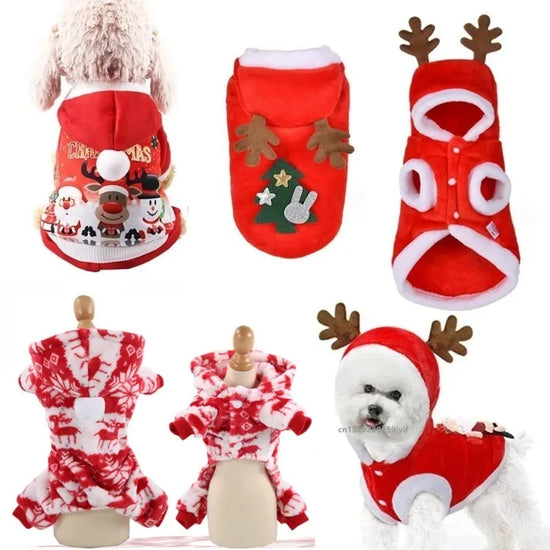 Santa Costume Jacket for Puppies, Cats and Small Dogs