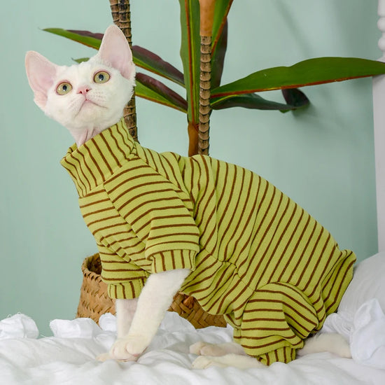 Green Striped Four-Legged Jumpsuit for Sphynx Cats