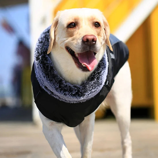 XL-6XL Thick Winter Dog Coat with Fur Collar for Medium and Large Dogs