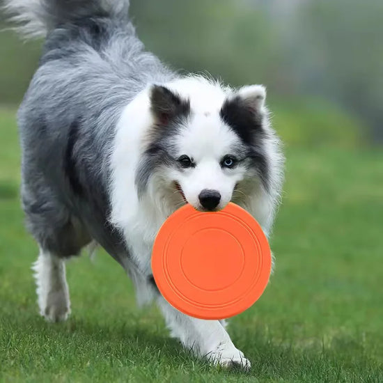 Tear-Resistant Soft Rubber Flying Disc for Dog Fetch Training