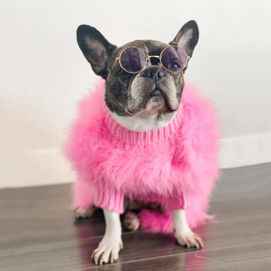 European Style Warm Pet Sweater for Autumn, Winter, and Parties