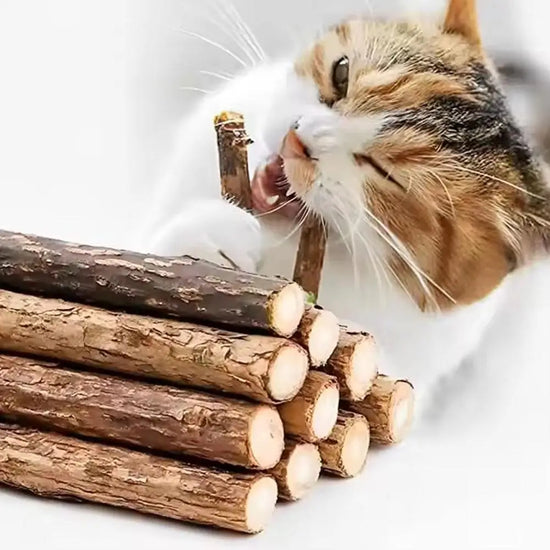 Natural Catnip Chew Sticks - Molar Cleaning Toy Pack for Cats