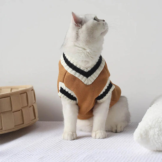 Collegiate Style Winter Sweater Vest for Cats and Small Dogs