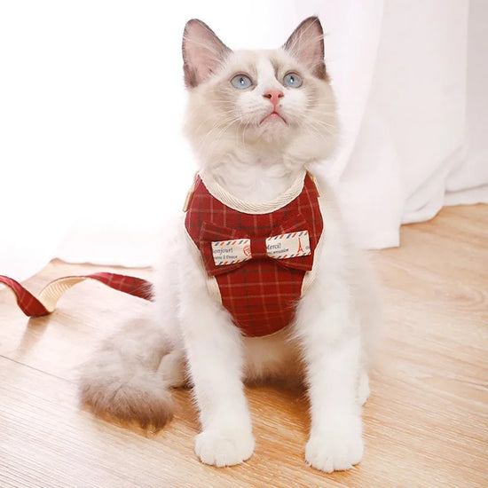Soft Mesh Dog and Cat Harness Leash Set - Comfortable Walking Vest