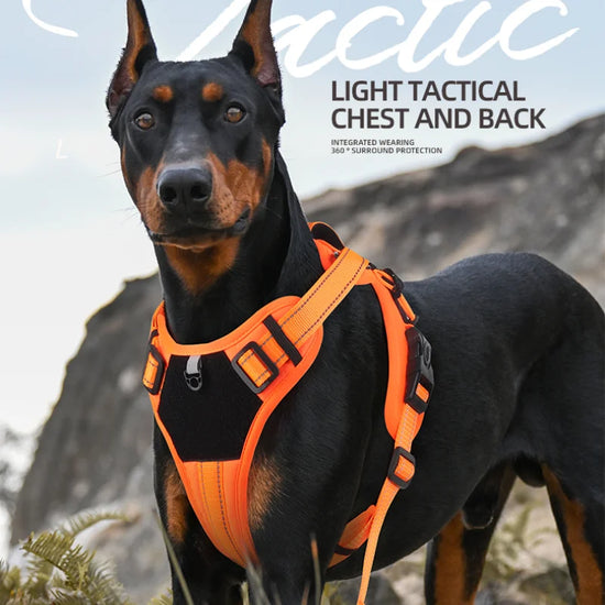 Reflective No-Pull Nylon Dog Harness for Comfortable Control