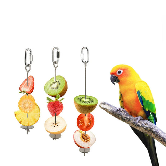 Stainless Steel Bird Food Skewer - Fruit and Vegetable Holder for Parrots