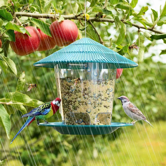 Automatic Hanging Bird Feeder - Multi-Hole Seed Dispenser Container