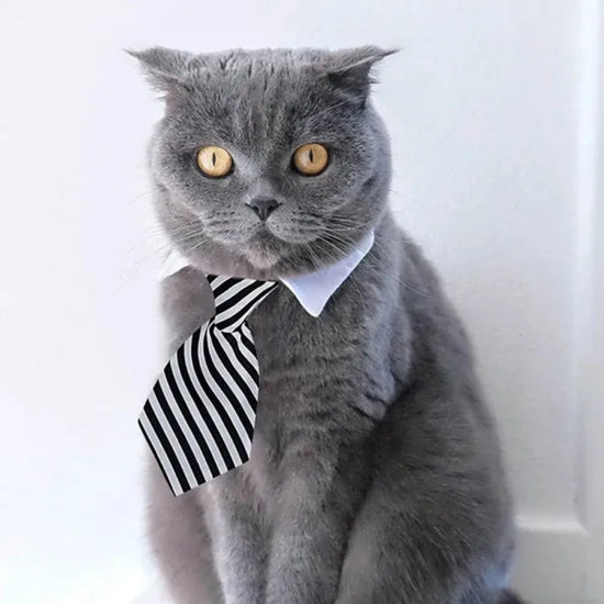 Adjustable Pet Bow Tie Necktie - Formal Collar Accessory for Cats and Dogs