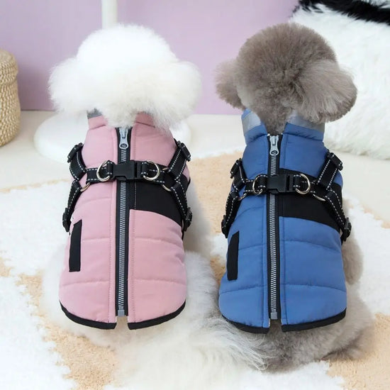 Adjustable Waterproof Windproof Dog Jacket with Harness Zipper