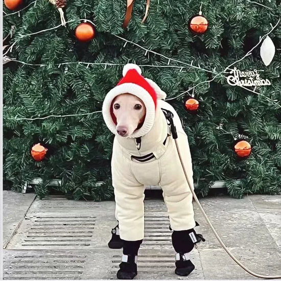 Thickened Cold Weather Dog Jacket with Neck Coverage for Big Dogs