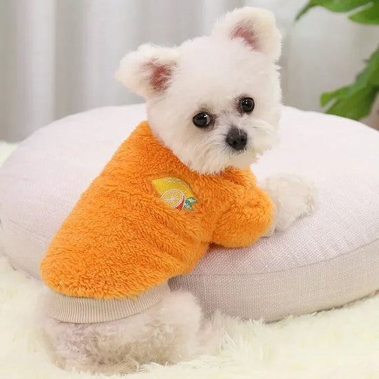 Warm Small Dog Hoodie Coat for Puppies and Chihuahuas