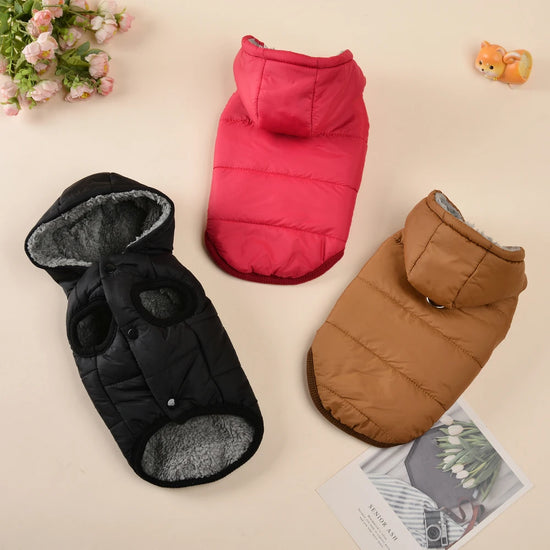 Warm Fleece Hoodie Coat for Cats, Pugs and Small Dogs