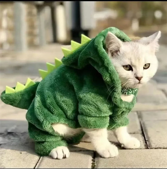 Funny Dinosaur Fleece Hoodie Costume for Small Pets