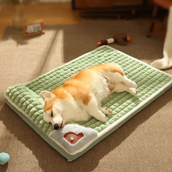Detachable Indoor Dog Bed Mat with Cervical Spine Support Design