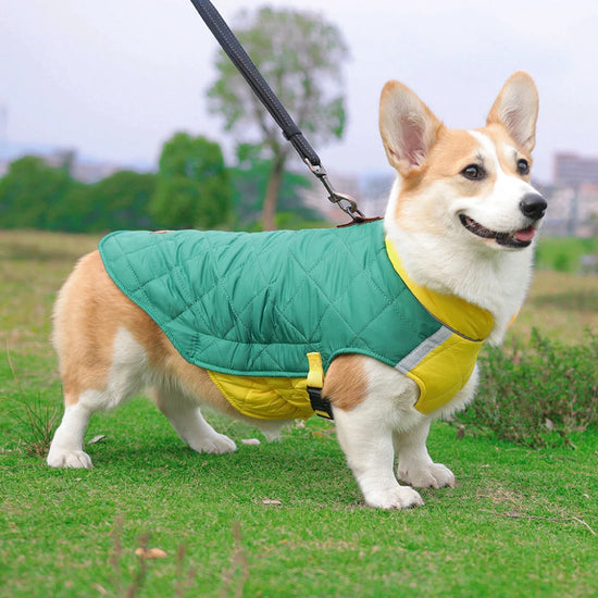 Waterproof Padded Winter Dog Vest Jacket for Small and Large Dogs