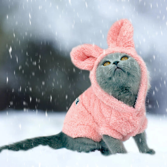 Warm Pink Winter Coat Jacket for Small Dogs and Cats